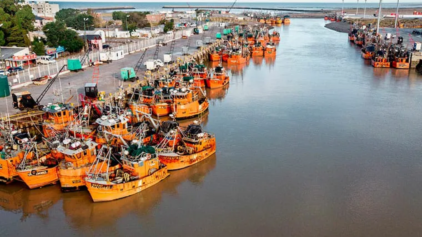LOS GRAVES PELIGROS DEL SISTEMA DE LICITACIÓN EN LA PESCA