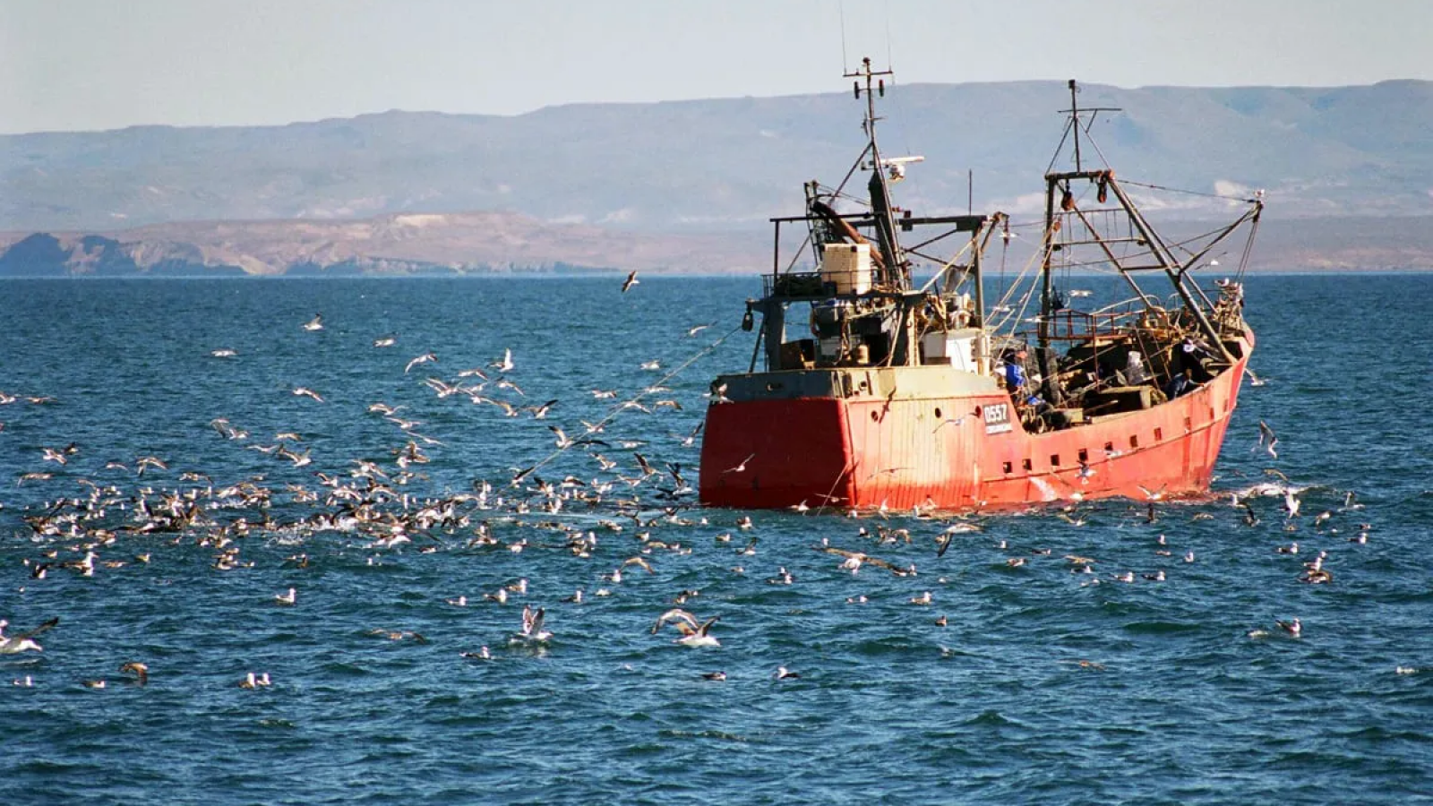 El gobierno eliminó el capítulo de Pesca de la Ley Ómnibus