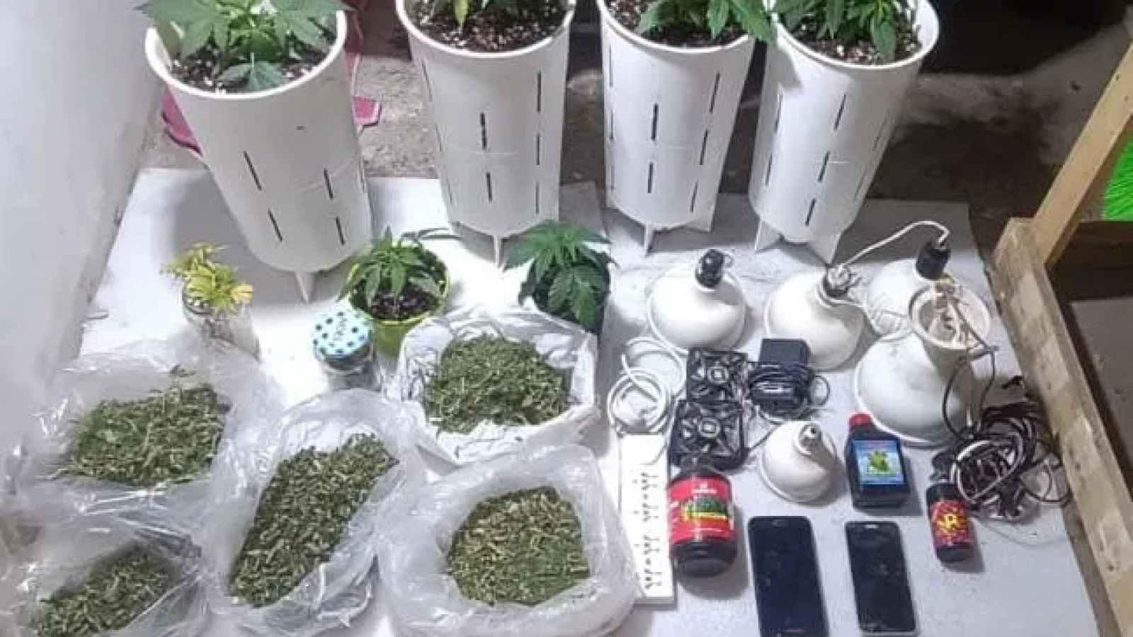 Allanamientos a cuatro búnkers de droga en Puerto Madryn