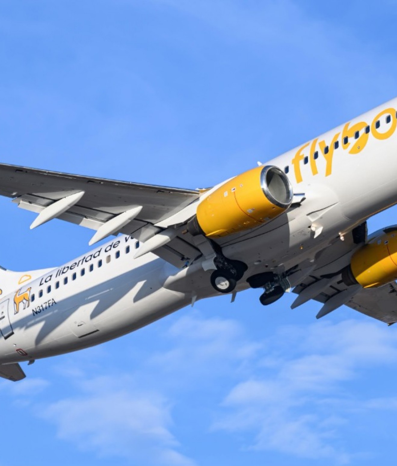 Crisis en Flybondi: la aerolínea solicitó el concurso preventivo de acreedores