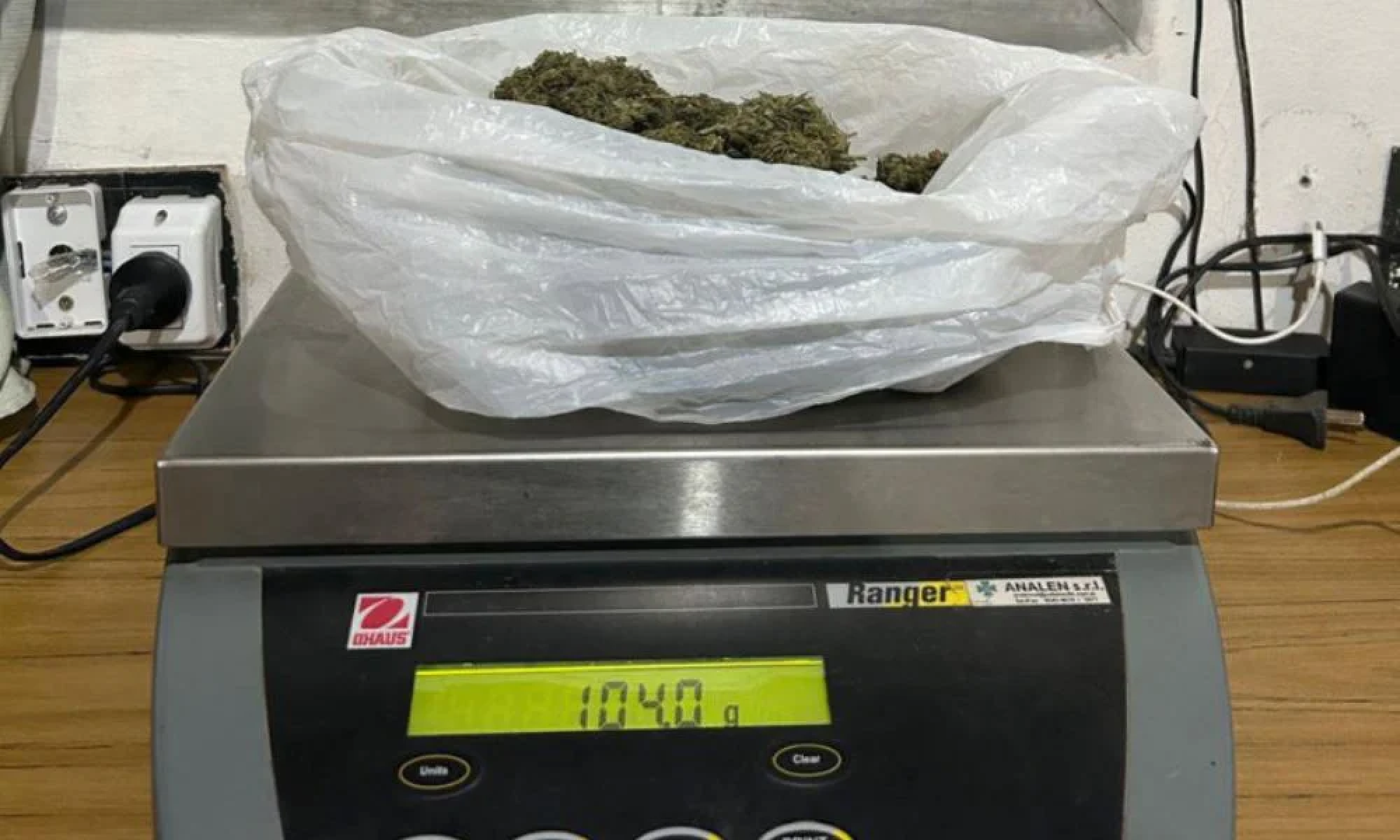 Detuvieron a una mujer que transportaba marihuana y cocaína ocultas en peluches