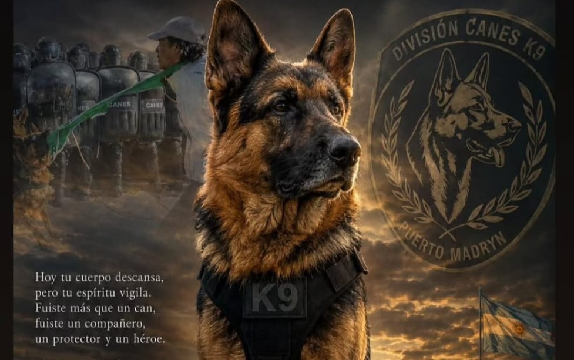Adiós a un héroe local: conmoción en Puerto Madryn por la partida de Athos, el perro insignia de la División Canes
