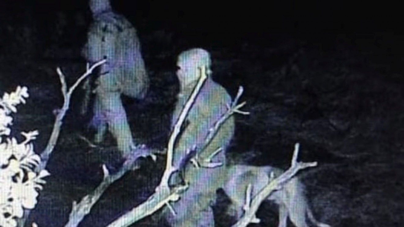 Trevelin: allanaron dos viviendas por una investigación de caza furtiva en campos de Chubut