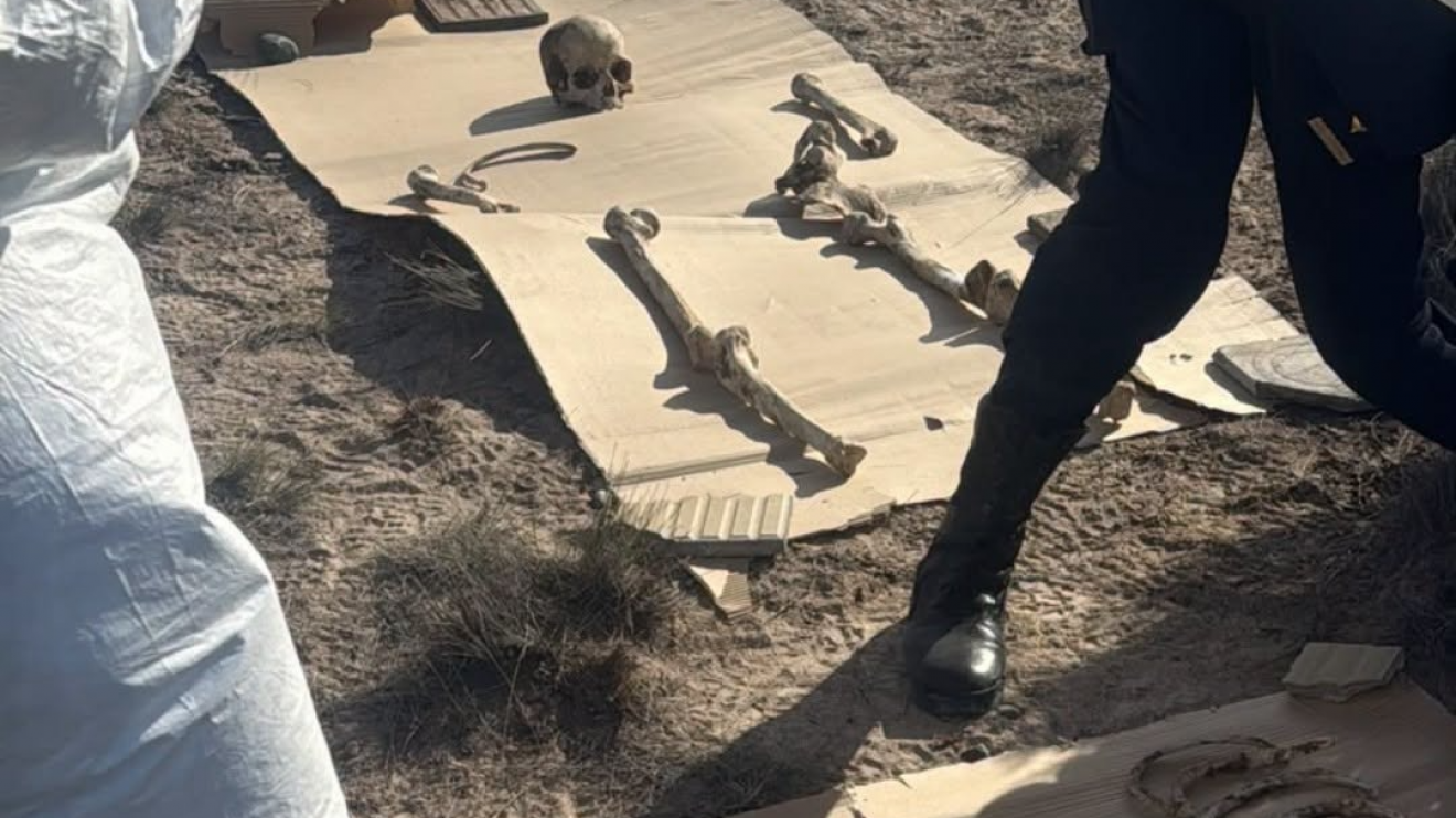Puerto Madryn: encontraron restos óseos antiguos en la zona de la doble trocha