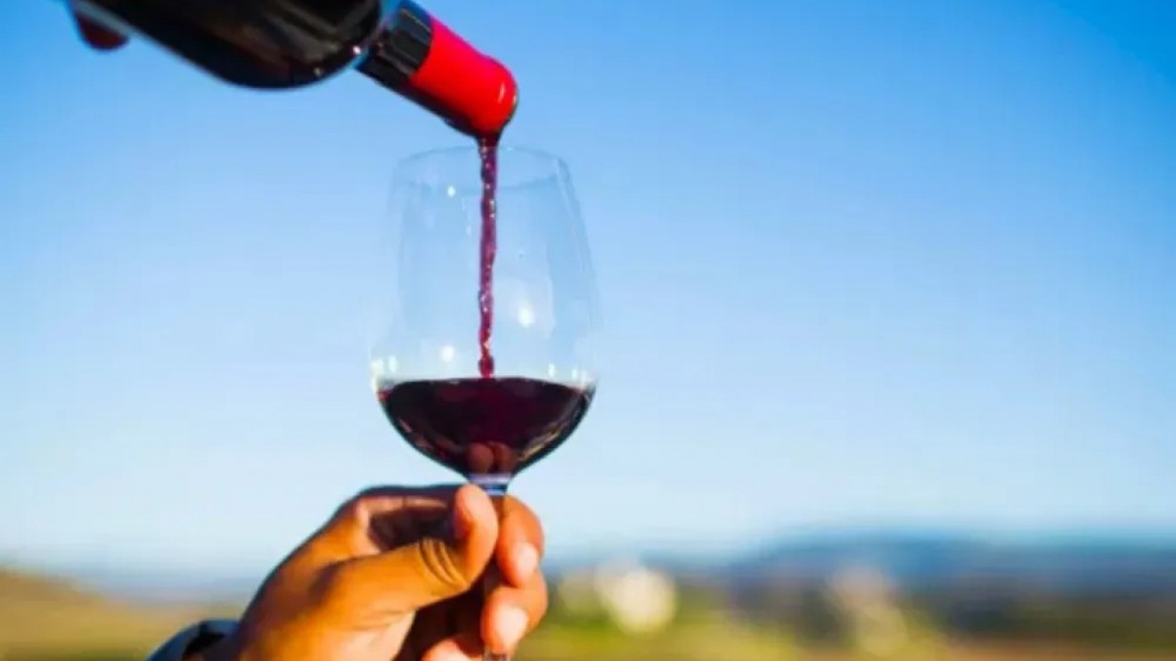 Puerto Madryn reunirá a 14 bodegas para ampliar la presencia del vino chubutense en hoteles y restaurantes