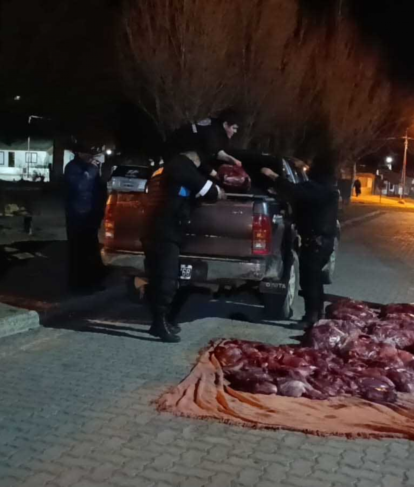 Tecka: interceptaron una camioneta con 700 kilos de carne de guanaco