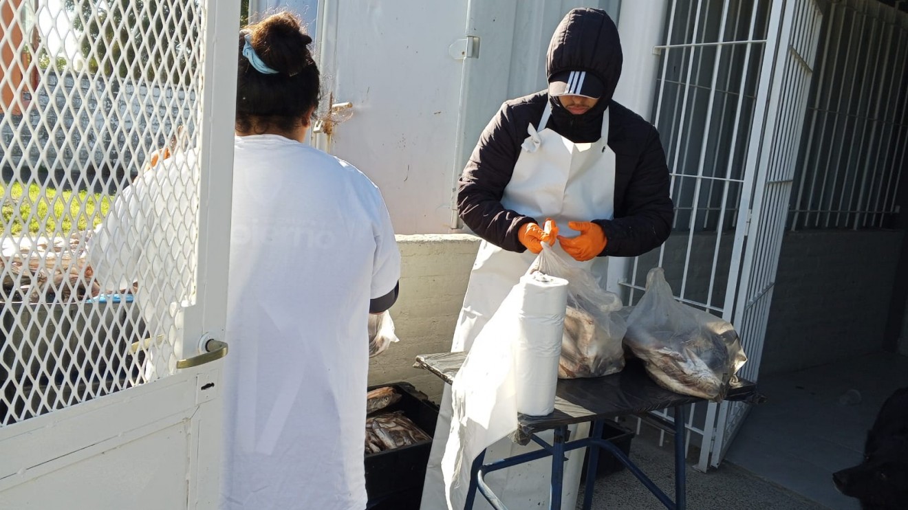 "No quedó nada": la entrega gratuita de merluza en el barrio Galina superó las expectativas