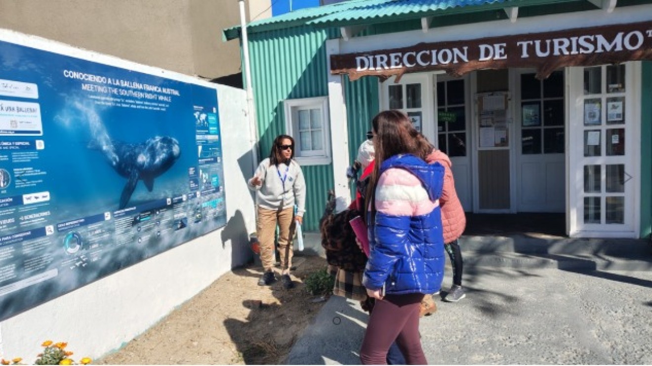Península Valdés: Información para descubrir y cuidar a la ballena franca austral