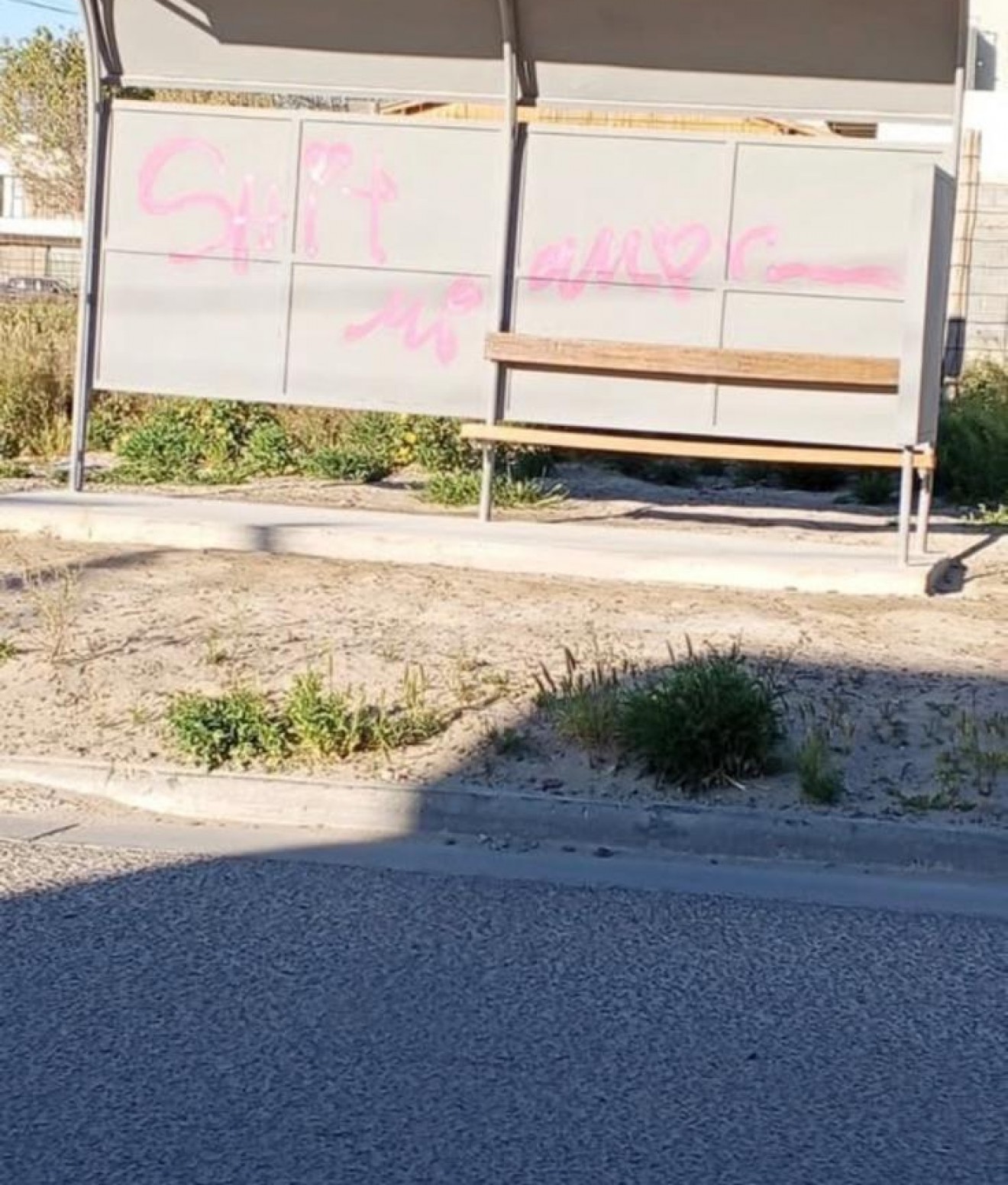 Bronca en Madryn: vandalizaron una parada de colectivos que los vecinos habían conseguido con esfuerzo