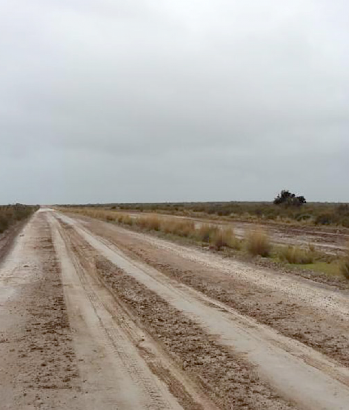 Las lluvias complican el turismo en Chubut: Península Valdés y Punta Tombo siguen con caminos cerrados