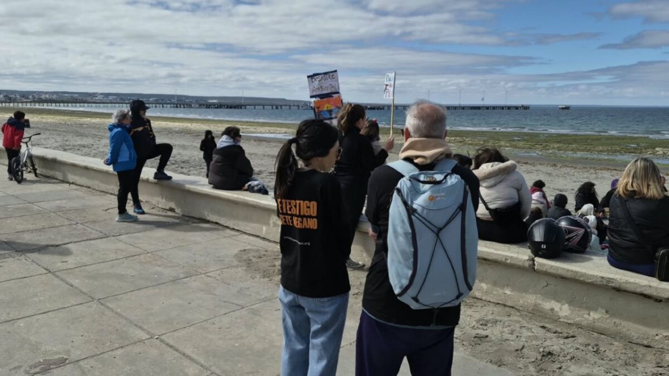 Puerto Madryn: vecinos realizaron un abrazo simbólico por la muerte de ballenas