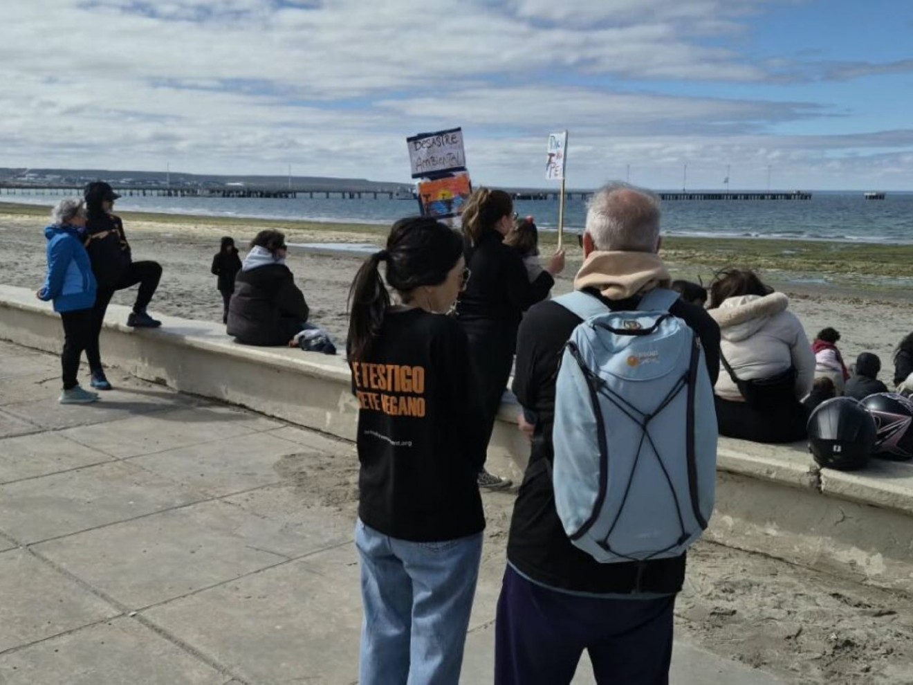 Puerto Madryn: vecinos realizaron un abrazo simbólico por la muerte de ballenas